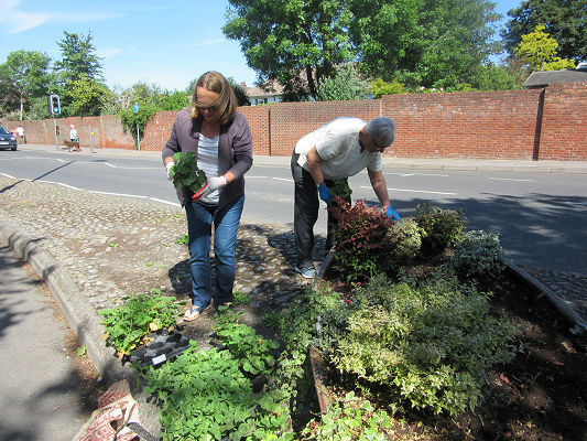 Emsworth In Bloom Volunteers Emsworth In Bloom Volunteers