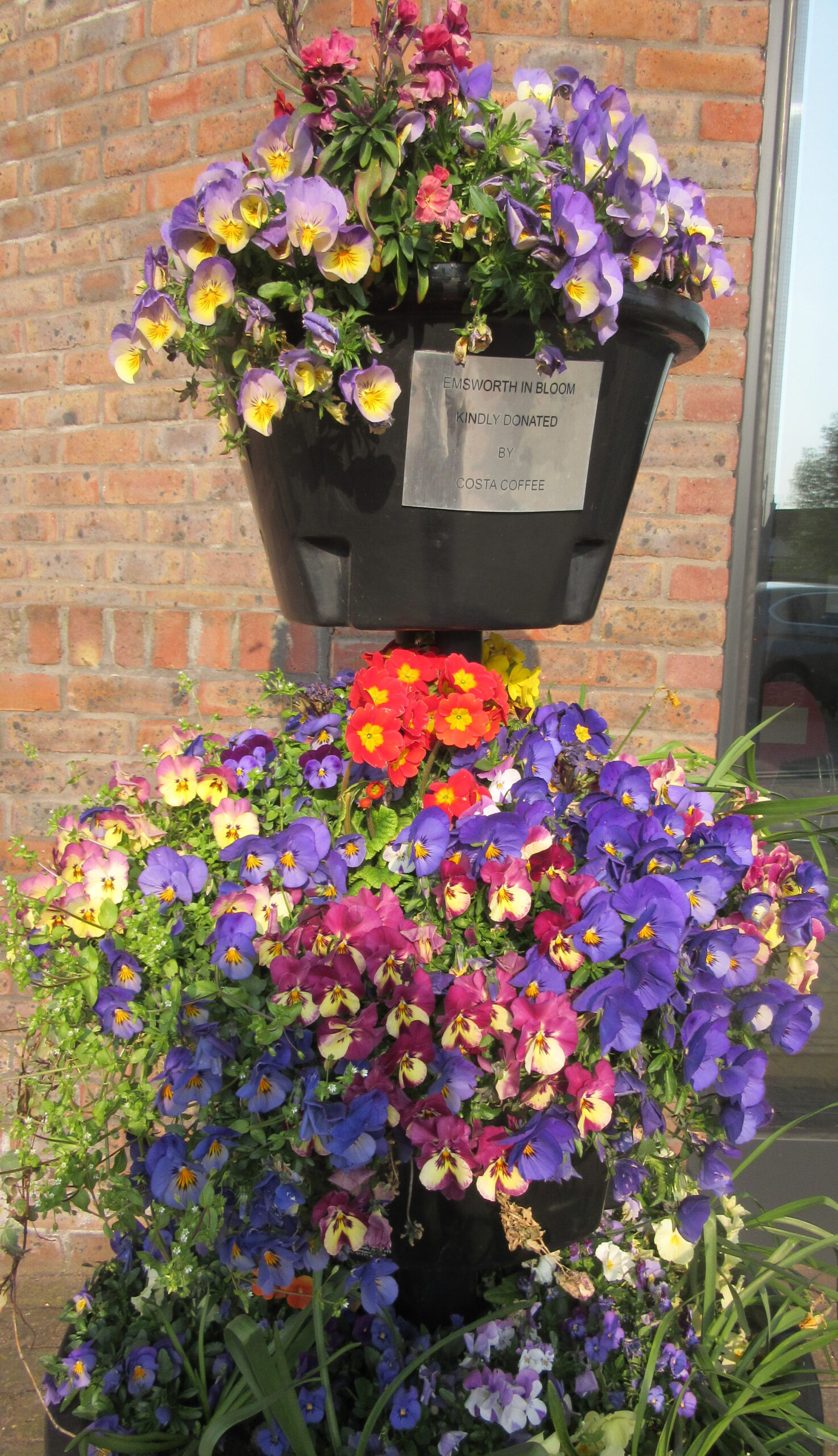 Emsworth In Bloom Emsworth In Bloom