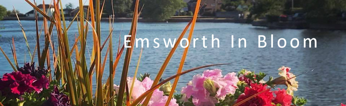 Emsworth In Bloom Emsworth in Bloom